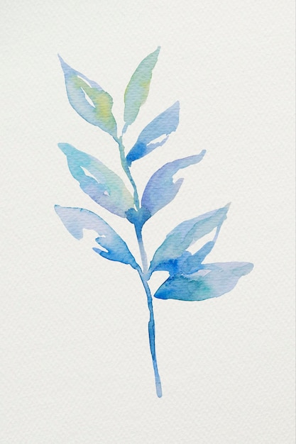 Illustration De Feuilles Naturelles Aquarelle Colorée