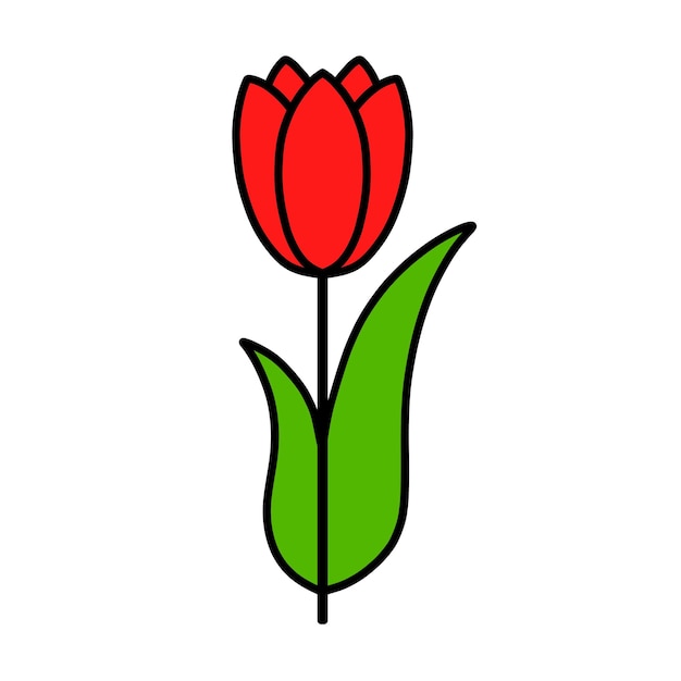 PSD illustration d'une fleur de tulipe rouge avec des contours