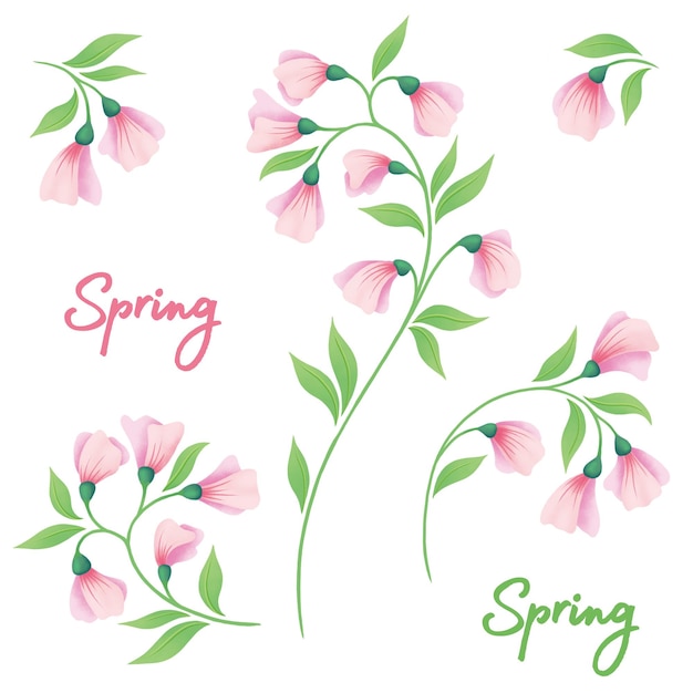 Illustration des fleurs du printemps