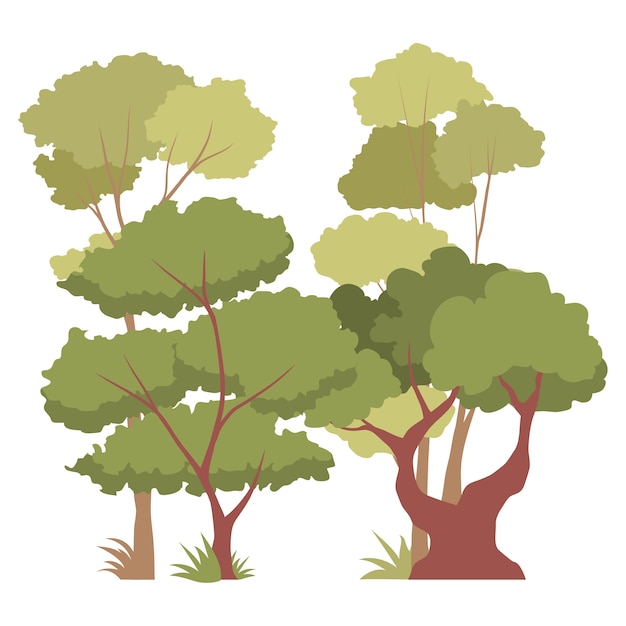 PSD illustration de la forêt verte