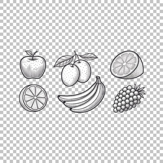 L'illustration des fruits variés