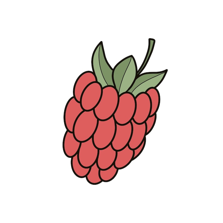 PSD illustration of a juicy red raspberry with green leaves