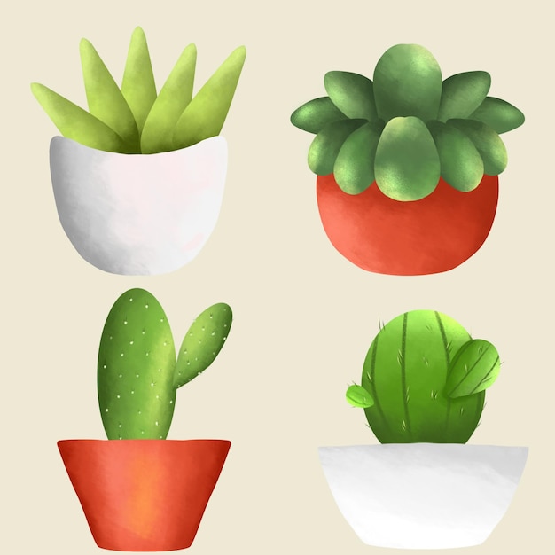 illustration of cactus and succulent plants in a pot textured drawing art style