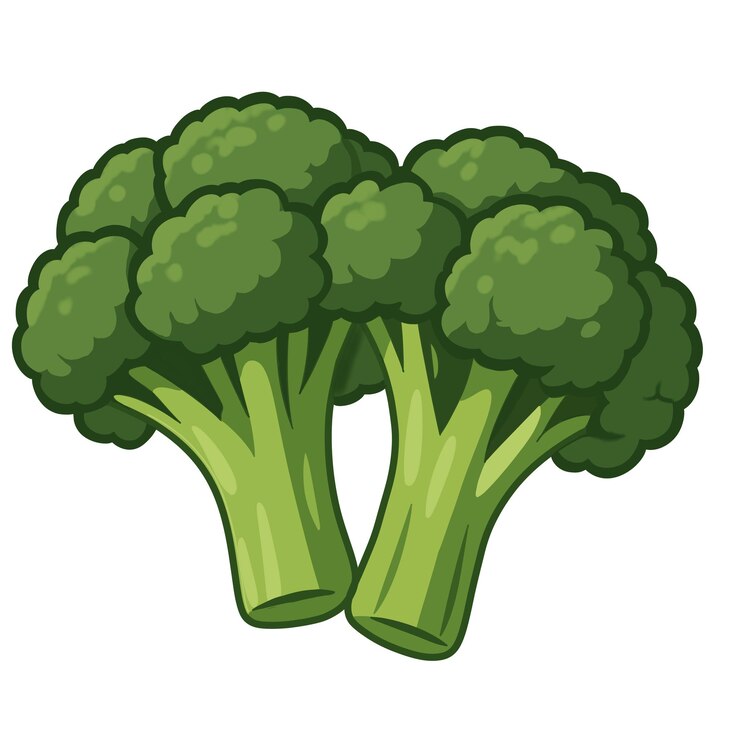 PSD illustration of fresh green broccoli vegetable