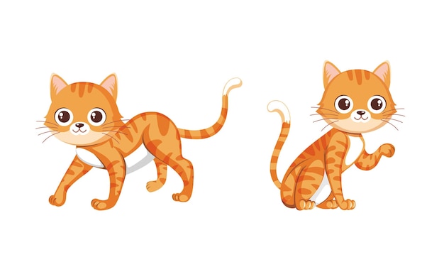 illustration of funny orange cat sitting and walking isolated on white background