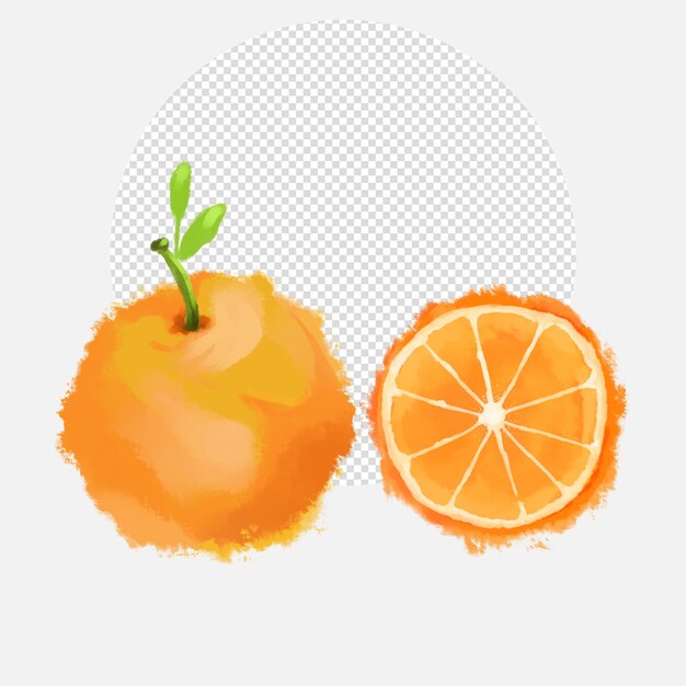 PSD illustration orange aquarelle