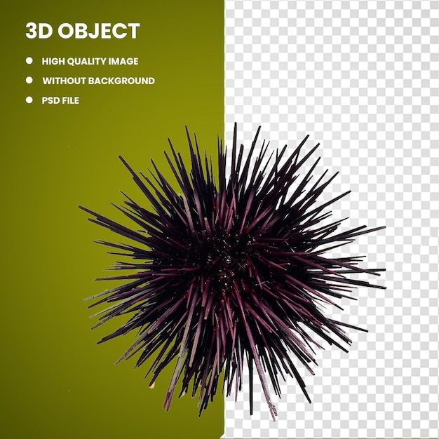 Illustration de l'oursin de mer violet 3d Oursin de mer