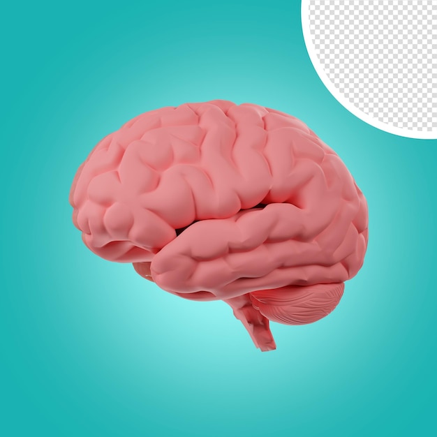 illustration de rendu 3d du cerveau