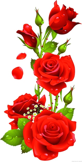 PSD illustration de roses rouges rose rose fleur d'amour arrangement du cœur png