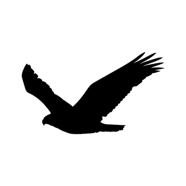 Illustration de silhouette d'oiseau