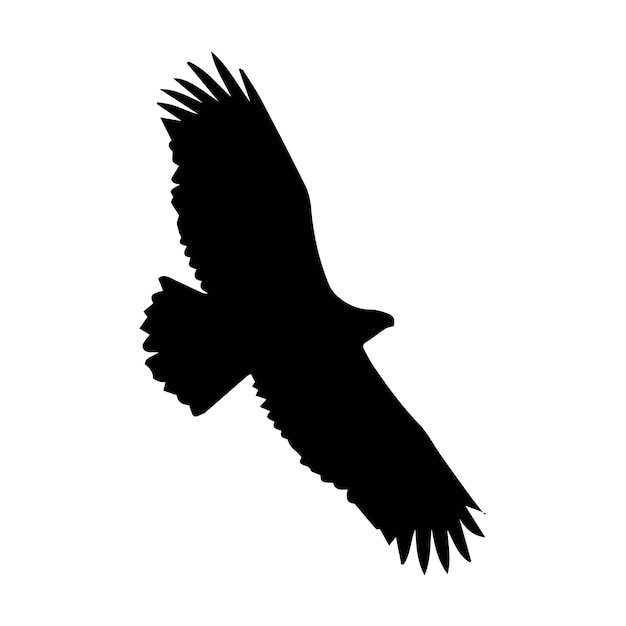 Illustration de silhouette d'oiseau