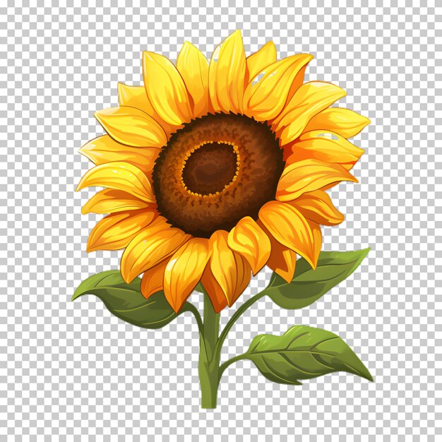 PSD illustration de tournesol sur fond transparent