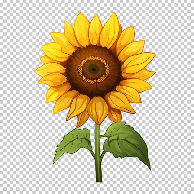 Illustration De Tournesol Sur Fond Transparent