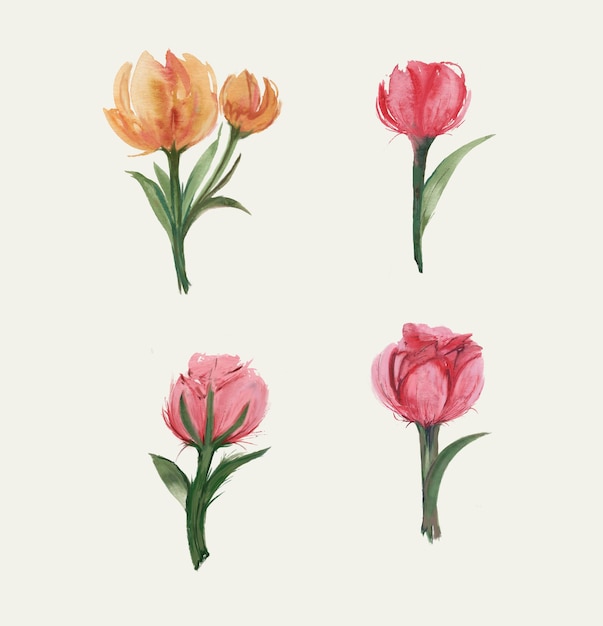 Illustration De Tulipe Aquarelle