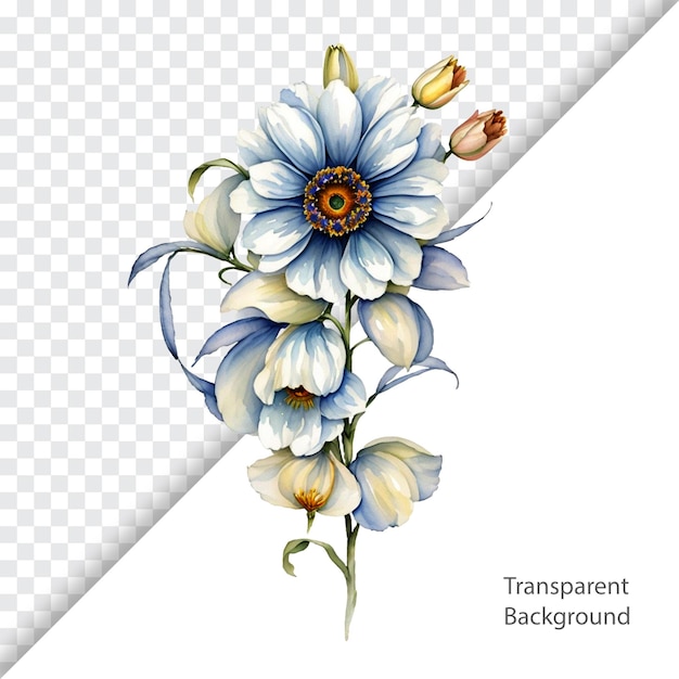 Illustration von Blumen transparentem Hintergrund