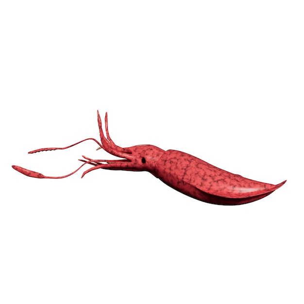 Illustrazione 3D di AnimalsOcean