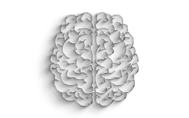Illustrazione del cervello