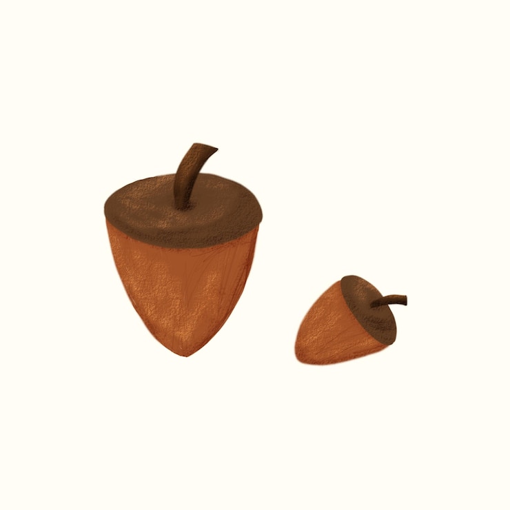 PSD illustrazione del disegno a mano stagionale autunnale di arachidi marroni