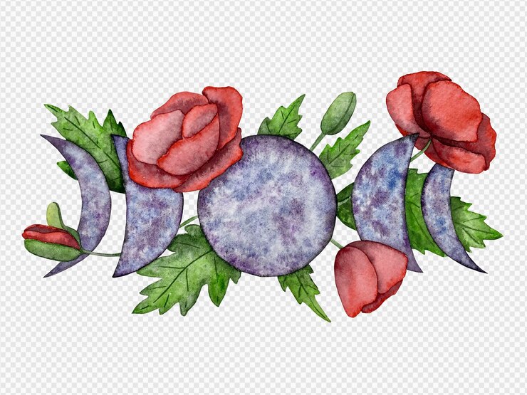 PSD illustrazione dell'acquerello del papavero della luna
