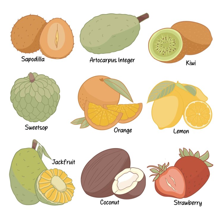 PSD illustrazione della collezione di deliziosi frutti disegnati a mano vista laterale