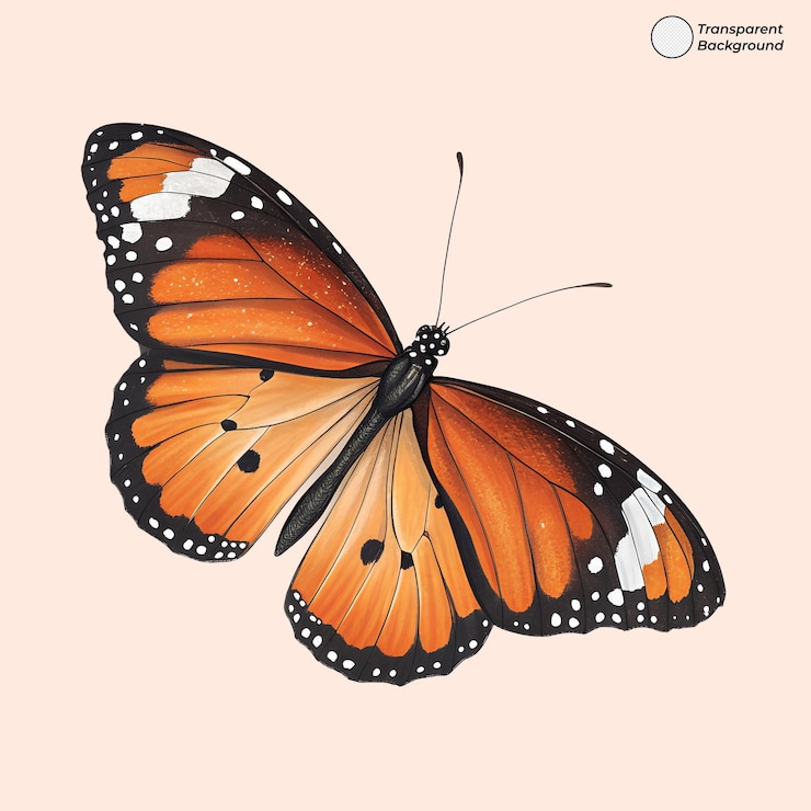 PSD illustrazione dettagliata di una farfalla monarca con ali arancione e nere