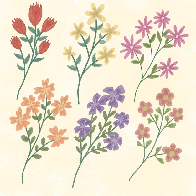 Illustrazione di fiori colorati