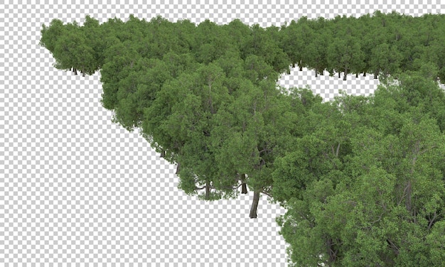 Illustrazione di rendering 3D della foresta su sfondo trasparente