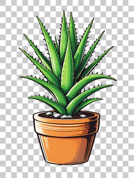 Illustrazione di una pianta di aloe vera in vaso su sfondo trasparente