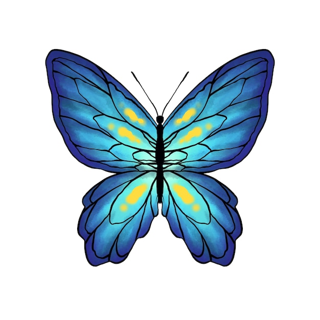 Illustrazione disegnata a mano di una farfalla blu