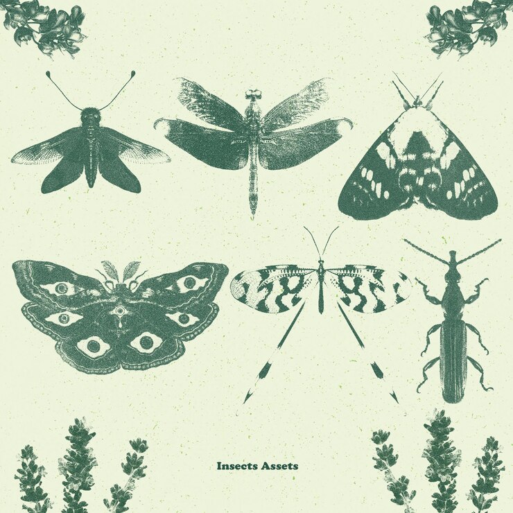 PSD illustrazioni vintage di insetti per risorse di design e artigianato