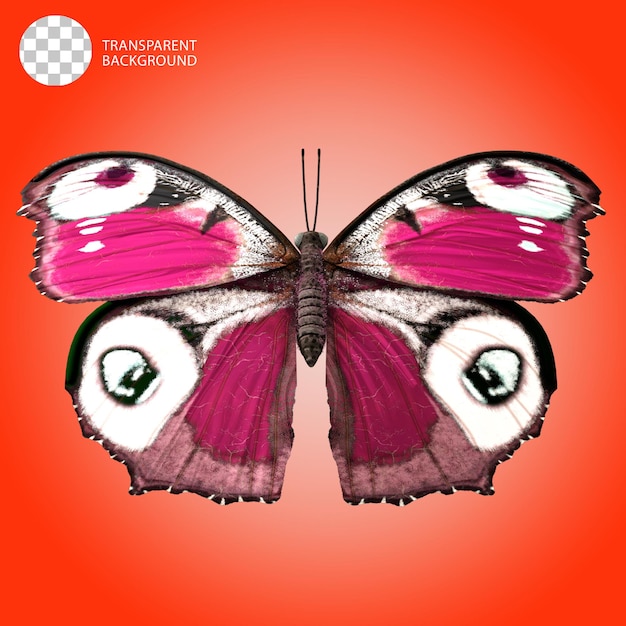 Ilustração 3D de borboleta isolada