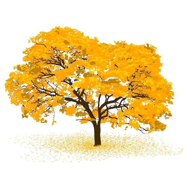 Ilustração artística de um lignum vitte