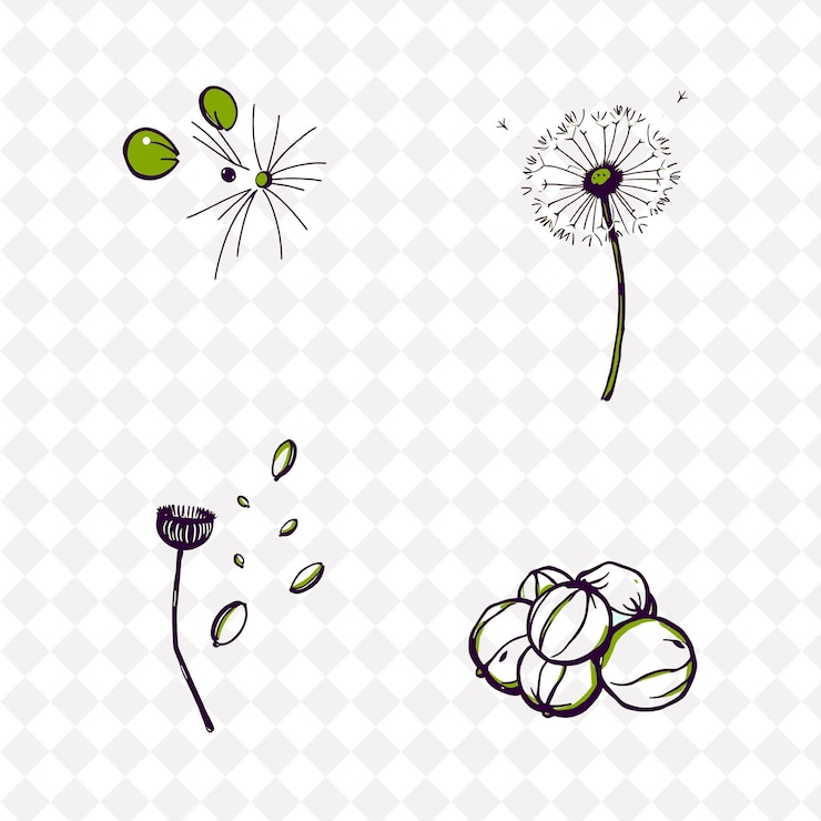 PSD ilustração bigodes de rato dente-de-leão puffs sementes nozes bigodes minúsculos de rato twitching delicado dand