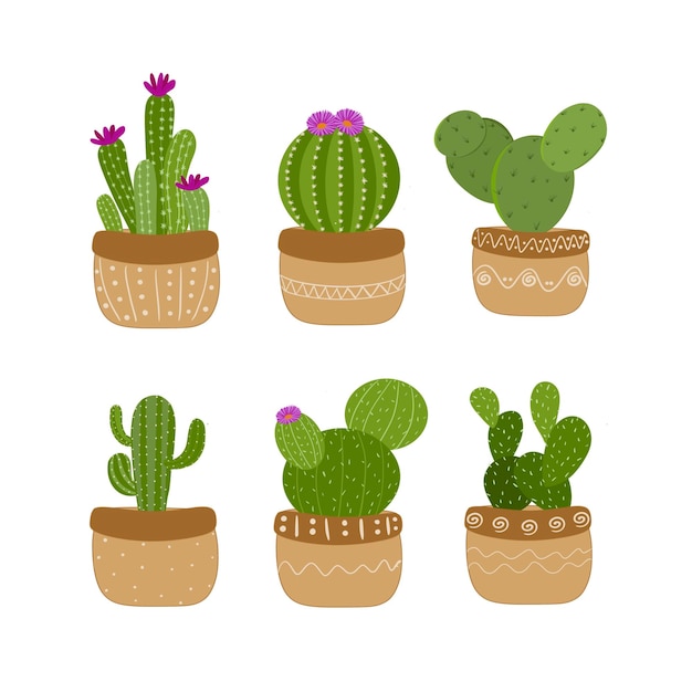 Ilustração bonito de cactus