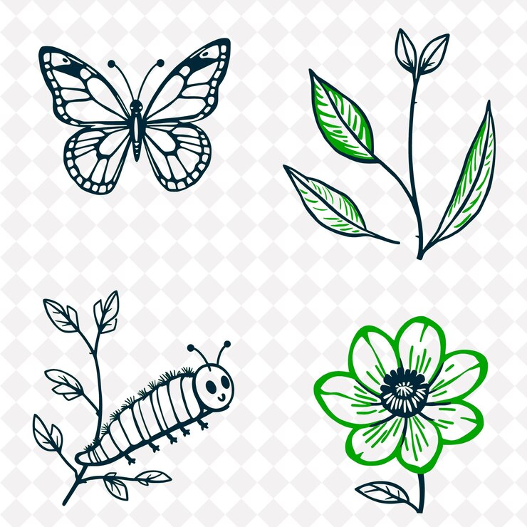 PSD ilustração borboletas deixam lagartas flores borboletas com asas delicadas deixam rustli