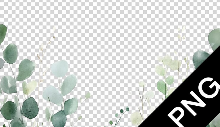 PSD ilustração botânica aquarela arte