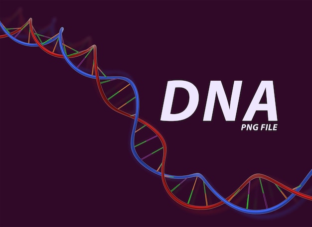Ilustração da dupla hélice do DNA