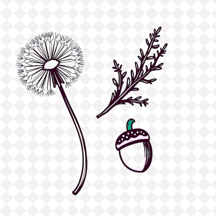 PSD ilustração dandelion fern acorn mushroom fluffy dandelion puff with tiny seeds ferns elegantly u