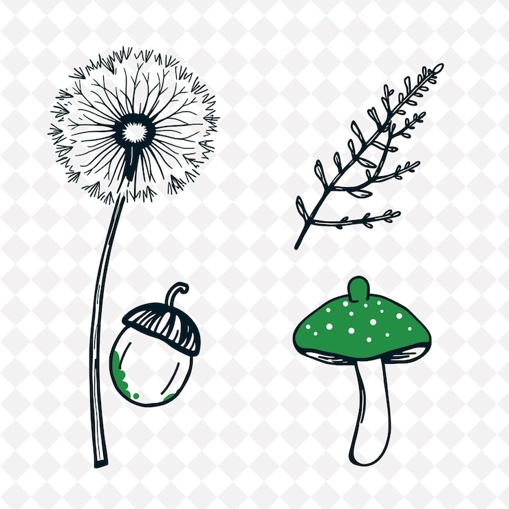 PSD ilustração dandelion fern acorn mushroom fluffy dandelion puff with tiny seeds ferns elegantly u