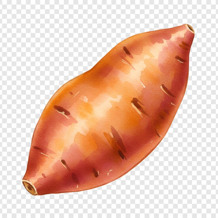 PSD ilustração de aquarela de batata doce