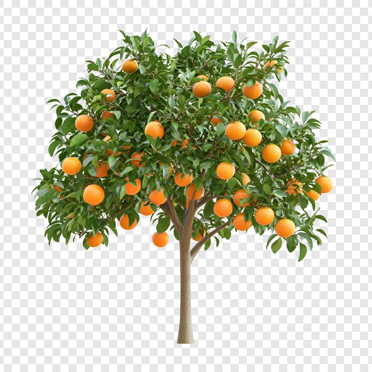 PSD ilustração de árvore cheia de frutos dourados