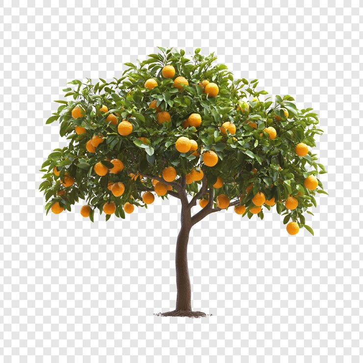 PSD ilustração de árvore frutífera verde e exuberante