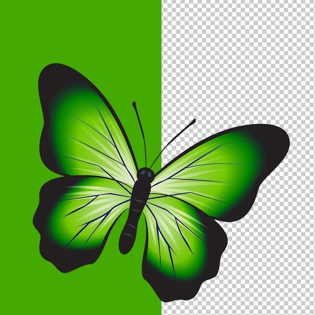 PSD ilustração de borboleta multicolor borboleta aquarela borboleta aquarela pintura roxa