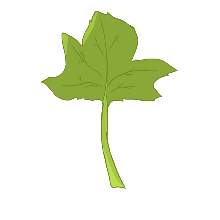 PSD ilustração de broto de planta com folha grande em estilo plano