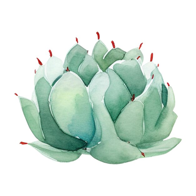 PSD ilustração de cactus a aquarela elemento de design desenhado à mão isolado em um fundo branco