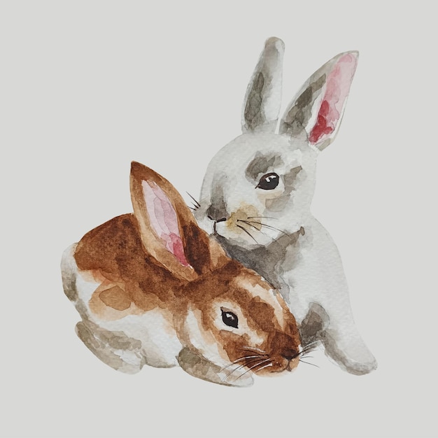 PSD ilustração de coelhos brancos e marrons em aquarela