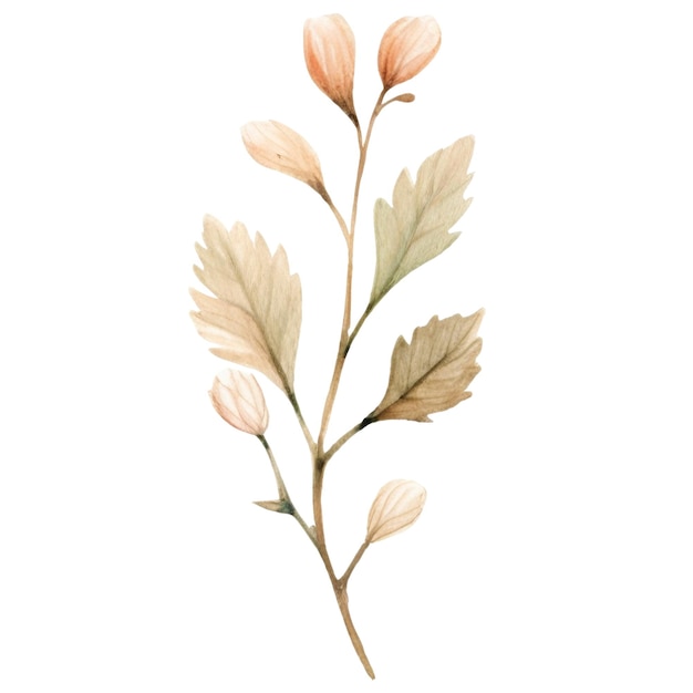 Ilustração de flores silvestres a aquarela Flores desenhadas à mão isoladas em fundo branco