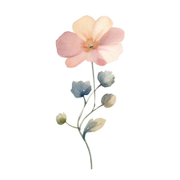 PSD ilustração de flores silvestres a aquarela flores desenhadas à mão isoladas em fundo branco