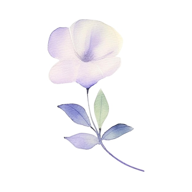 PSD ilustração de flores silvestres a aquarela flores desenhadas à mão isoladas em fundo branco
