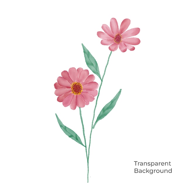 ilustração de fundo transparente em aquarela de flores criado com procreate